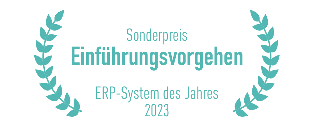 Sonderpreis: Einführungsvorgehen, ERP-System des Jahres 2023