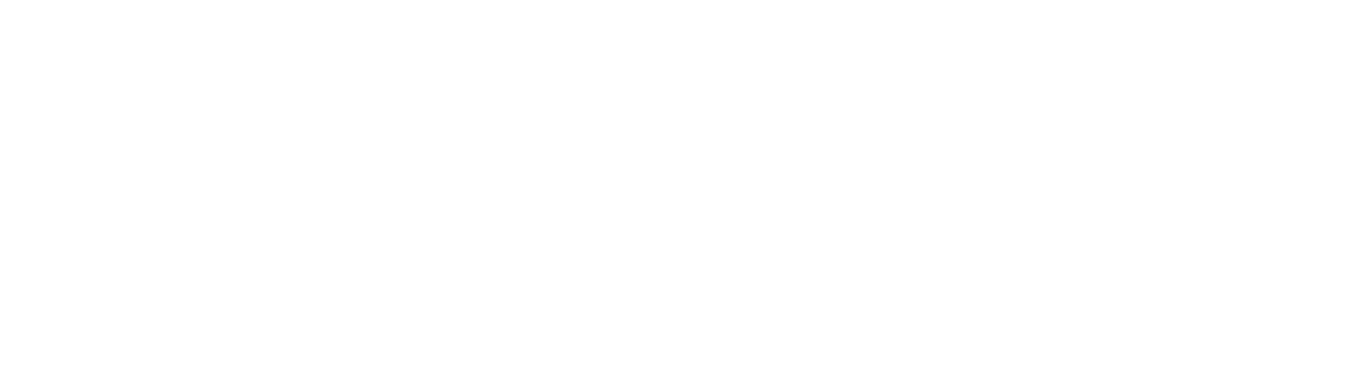 Ibisqus GmbH