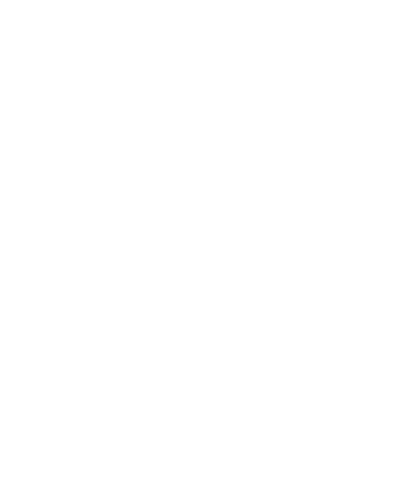 Micro Labs GmbH