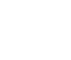 NGDA (securPharm)
