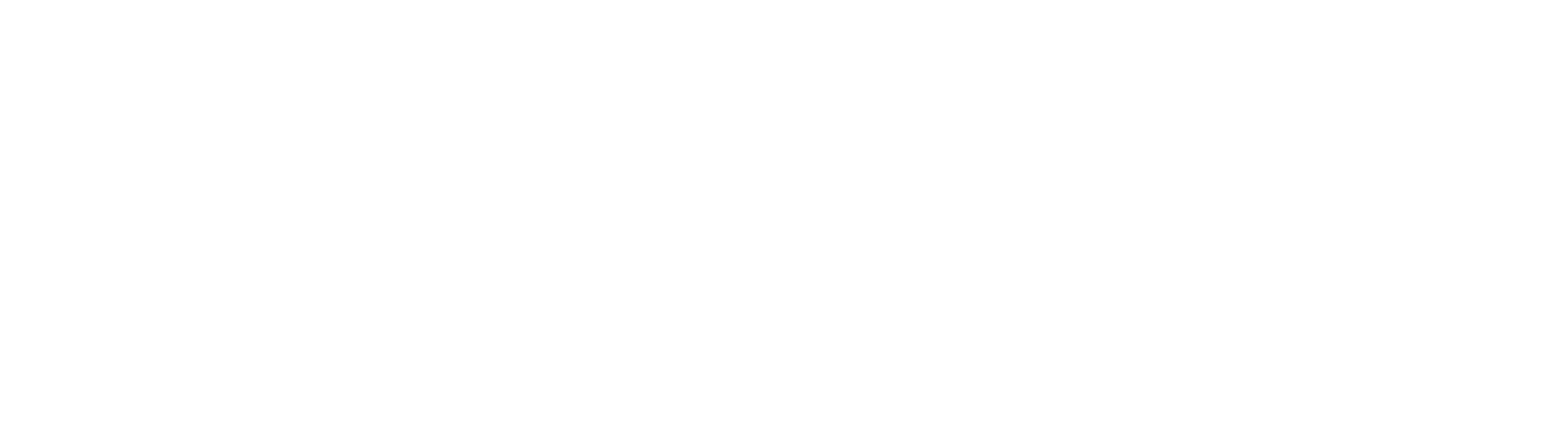 Sekisui Diagnostics GmbH